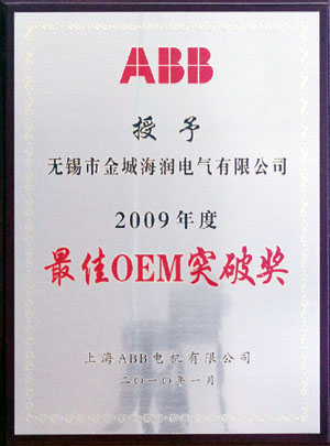20-2009最佳OEM突破獎